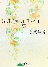 苏明远/叶开 引火自焚